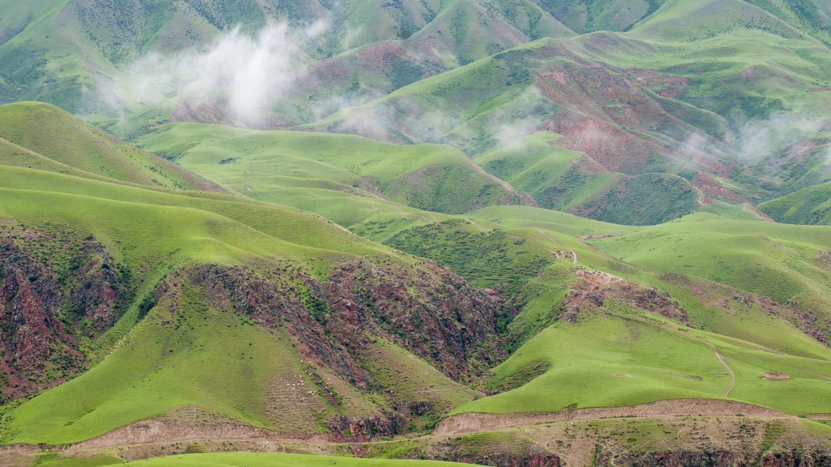 Green Xinjiang Tianshan grassland scenery pictures