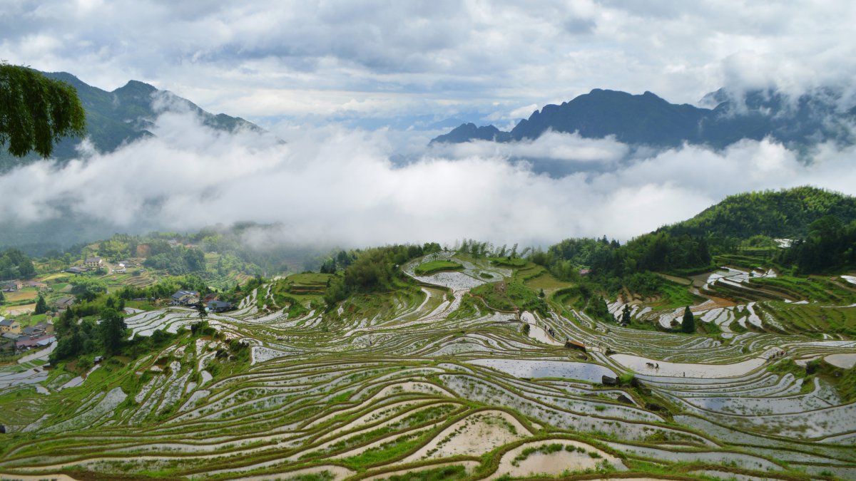 Scenery pictures of clouds and terraces in Lishui, Zhejiang