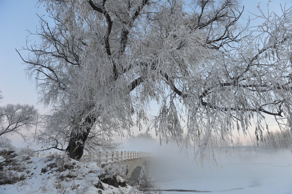 Beautiful rime pictures