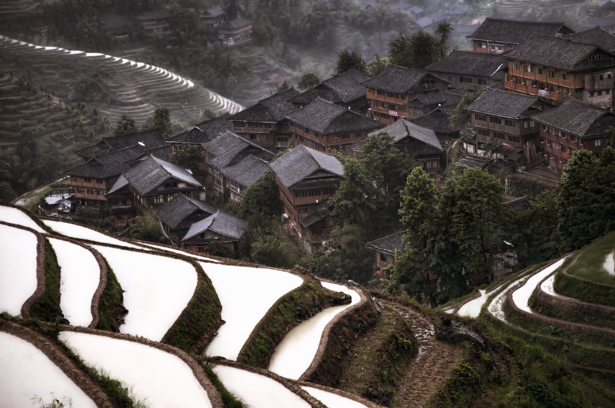 Spectacular and beautiful terraced fields pictures