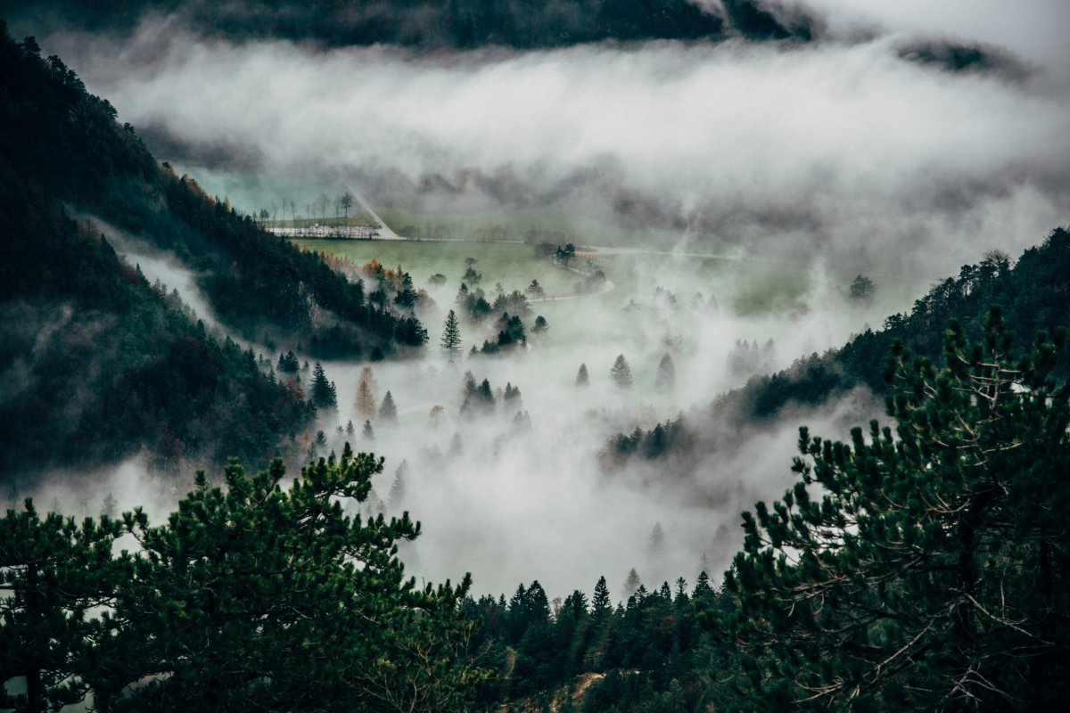 foggy scenery pictures