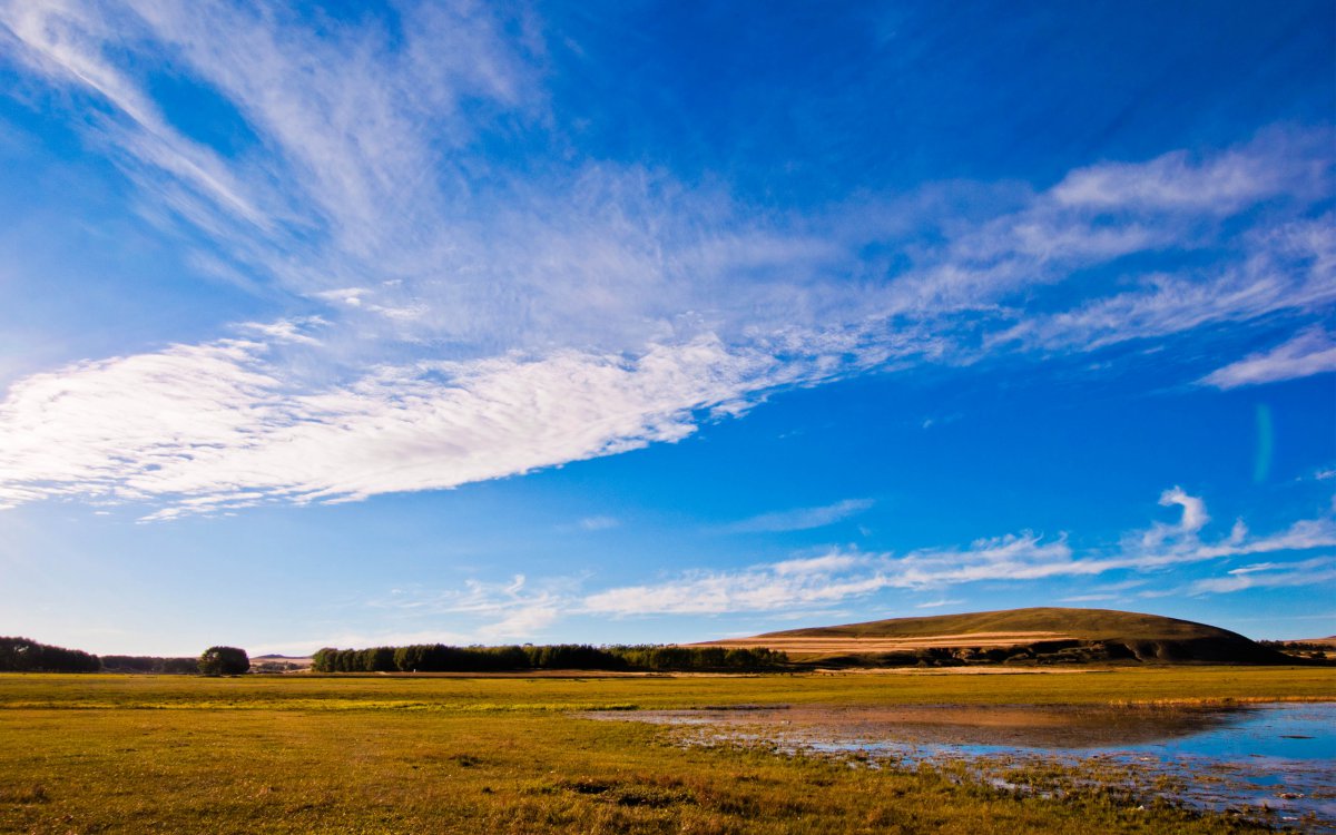 Natural scenery pictures of Bashang grassland in Guyuan, Hebei