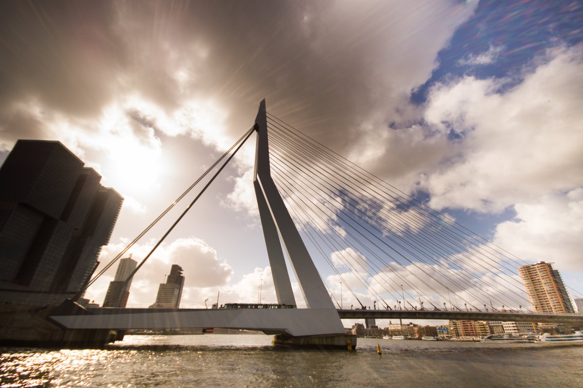 Pictures of Erasmus Bridge in Rotterdam