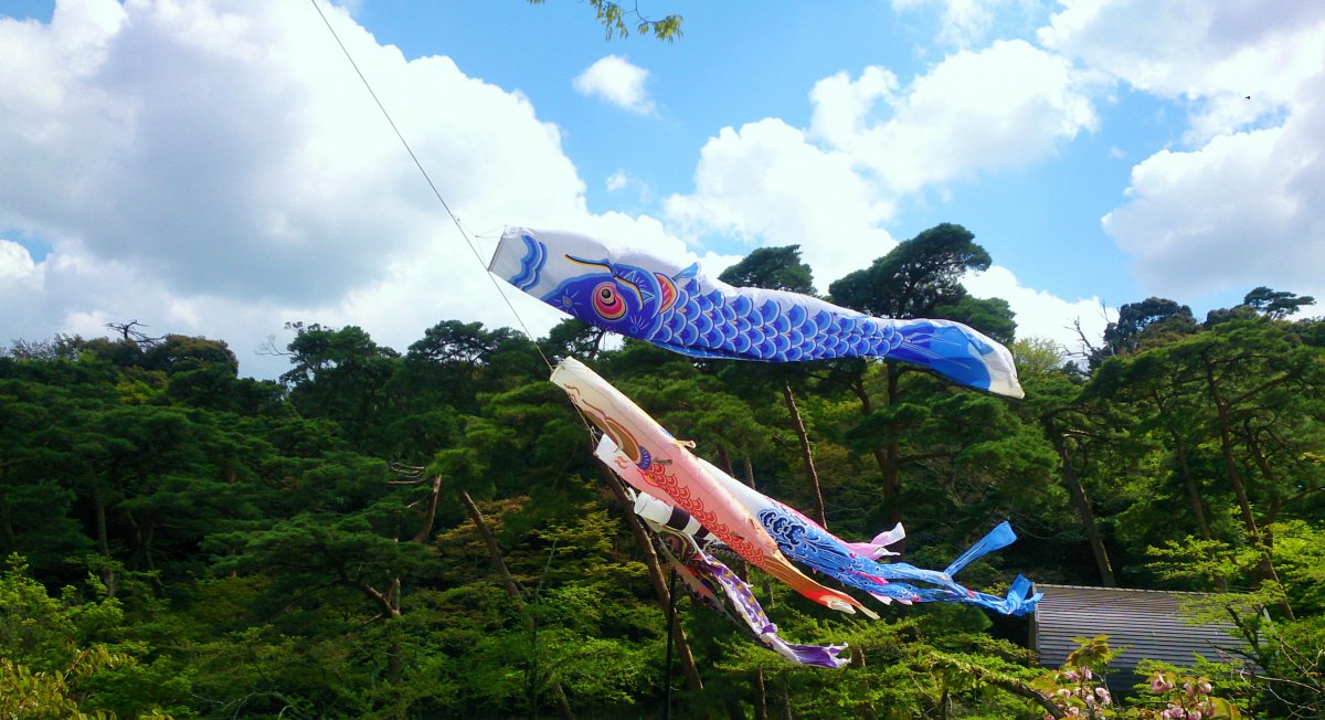 Pictures of carp streamers for Japanese festival celebrations