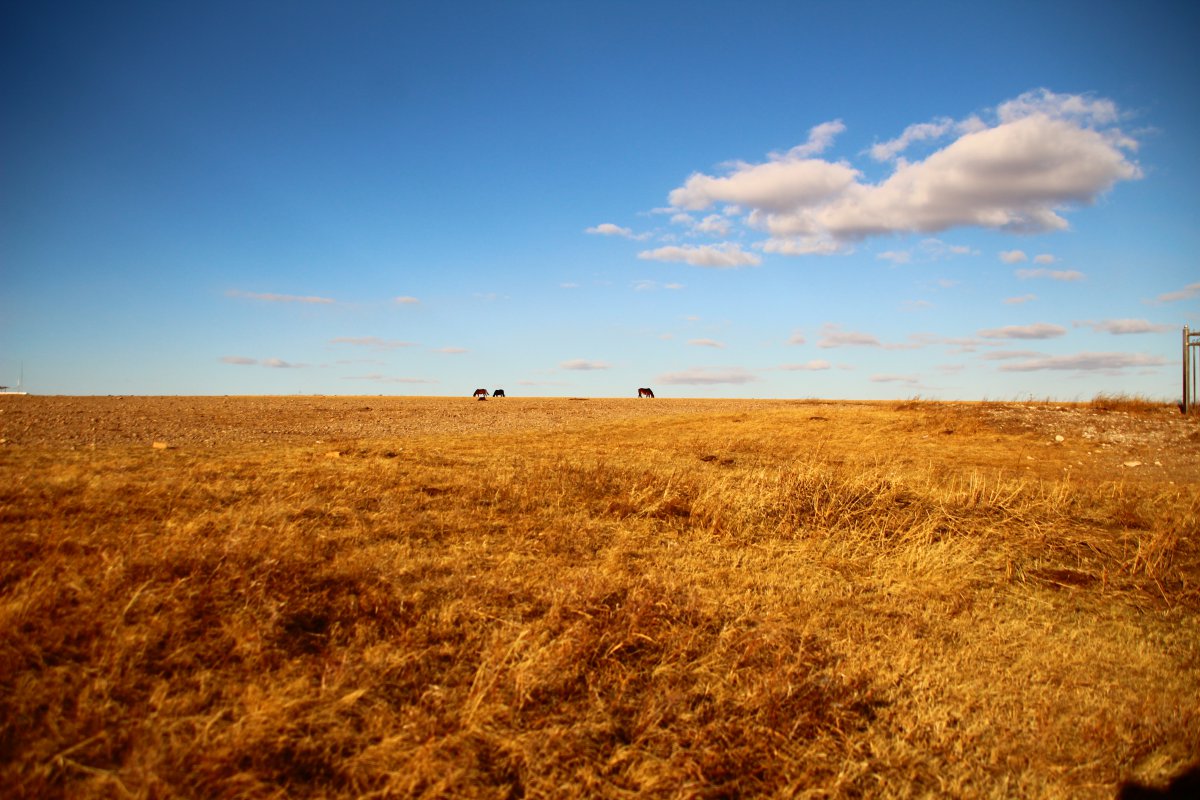 Autumn scenery pictures of Hulunbuir Prairie in Inner Mongolia
