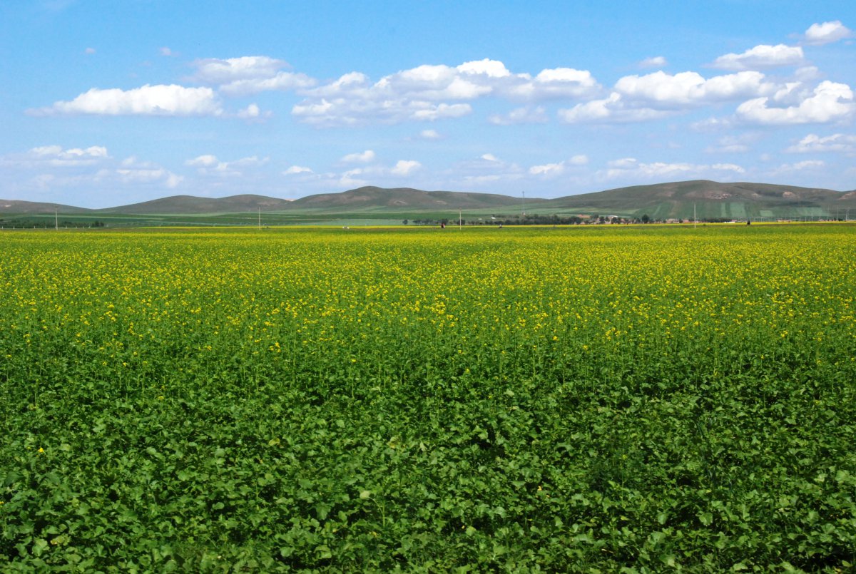 Scenery pictures of Duolun County, Inner Mongolia