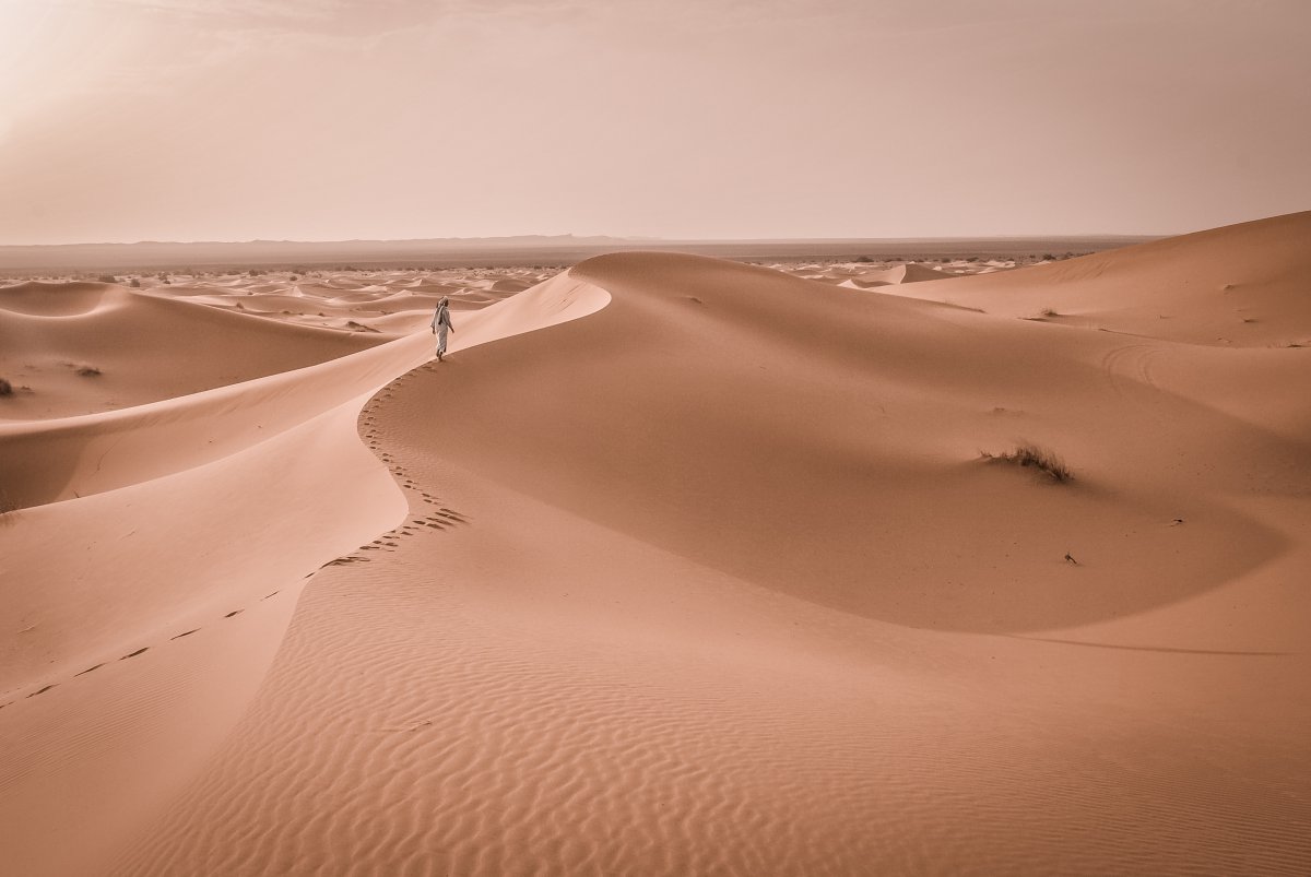 vast desert pictures