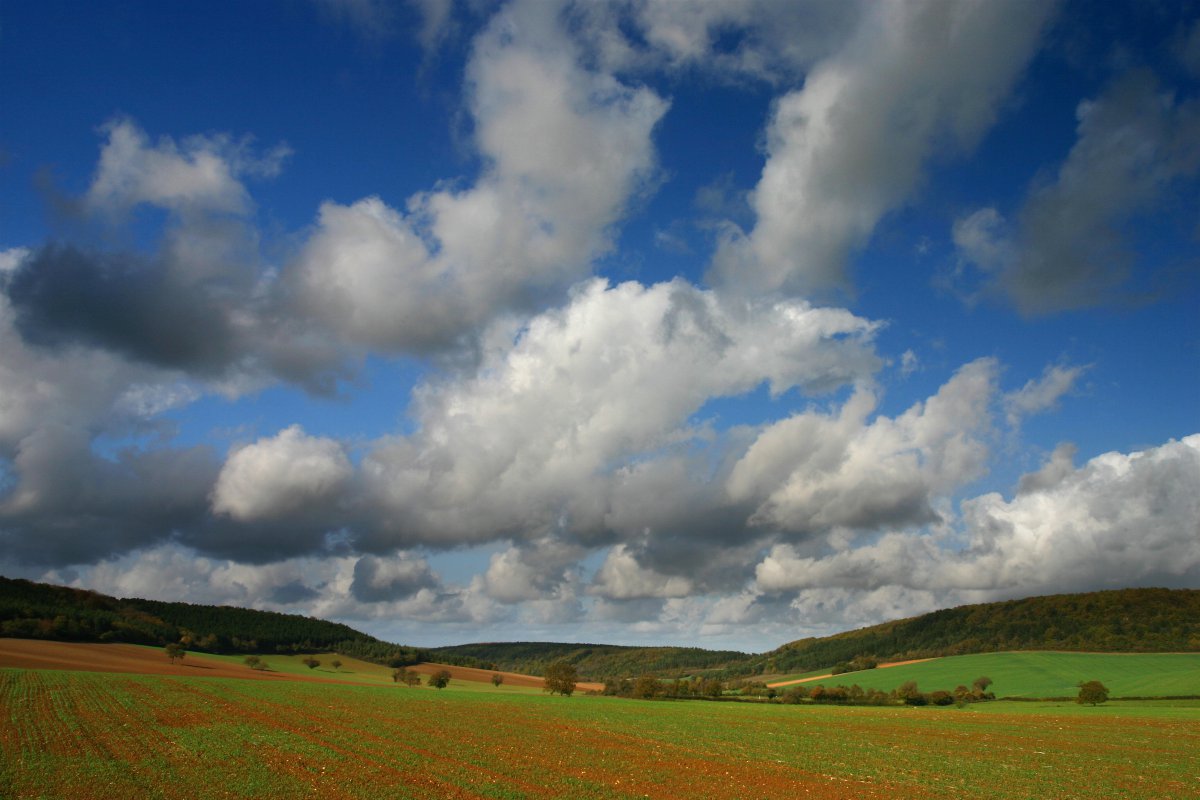 French Burgundy pastoral landscape pictures