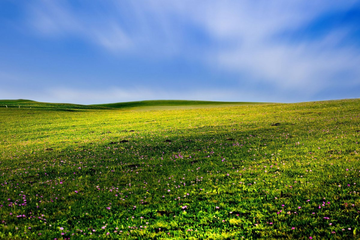 Spring grassland scenery pictures
