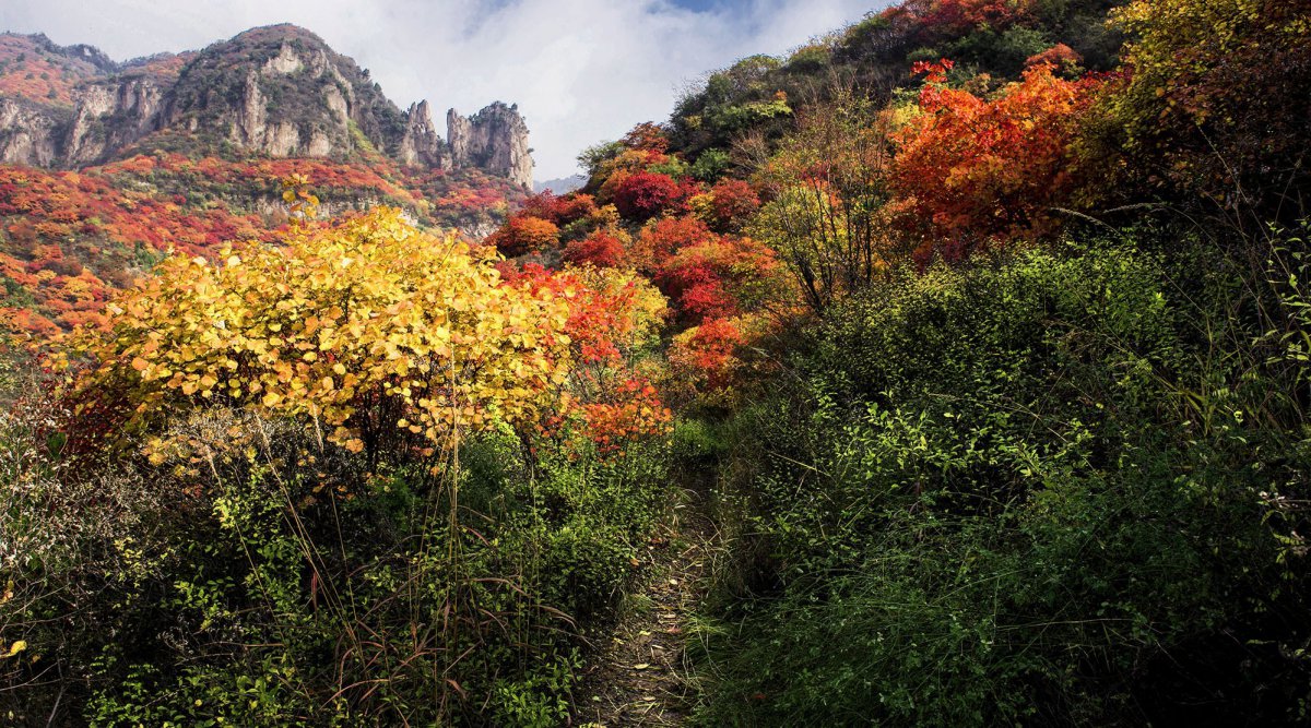 Shanxi Taihang Mountain scenery pictures