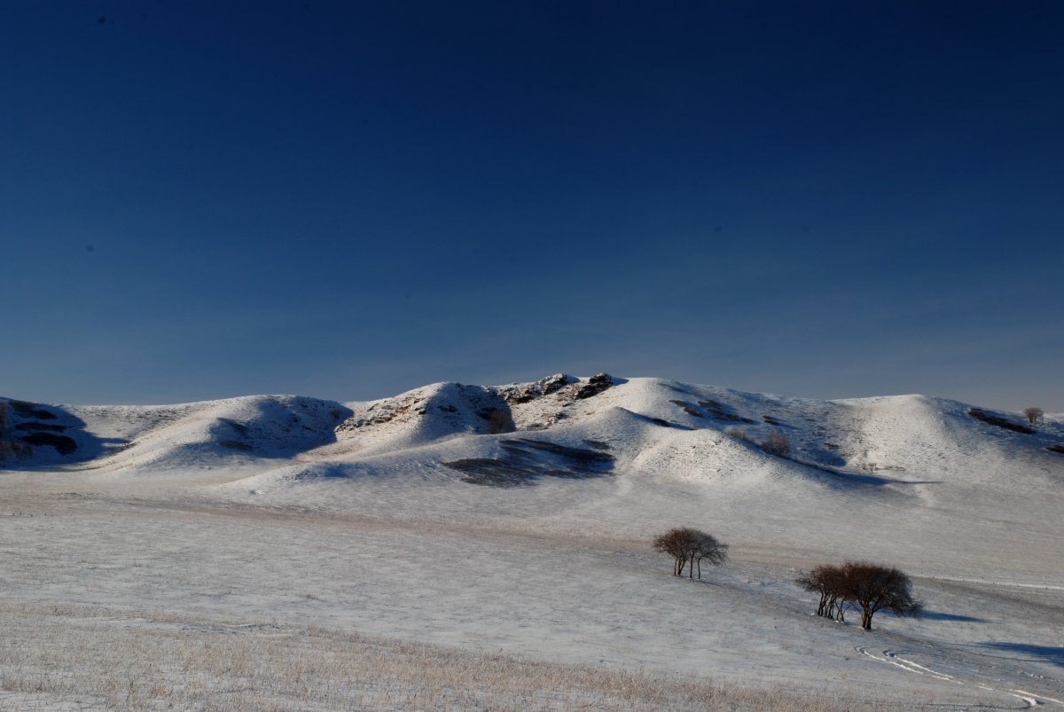 Winter scenery pictures of Mulan Paddock in Chengde, Hebei Province