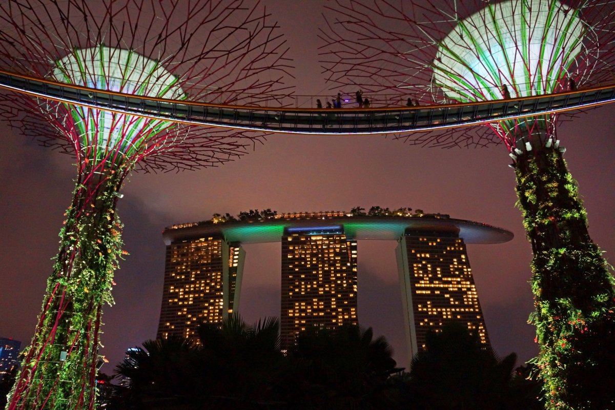 Gardens by the Bay, Singapore landscape pictures