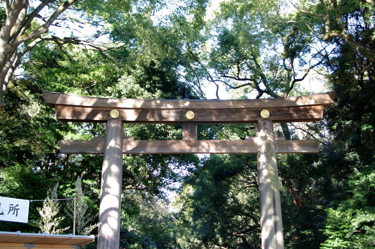Pictures of Meiji Shrine in Japan