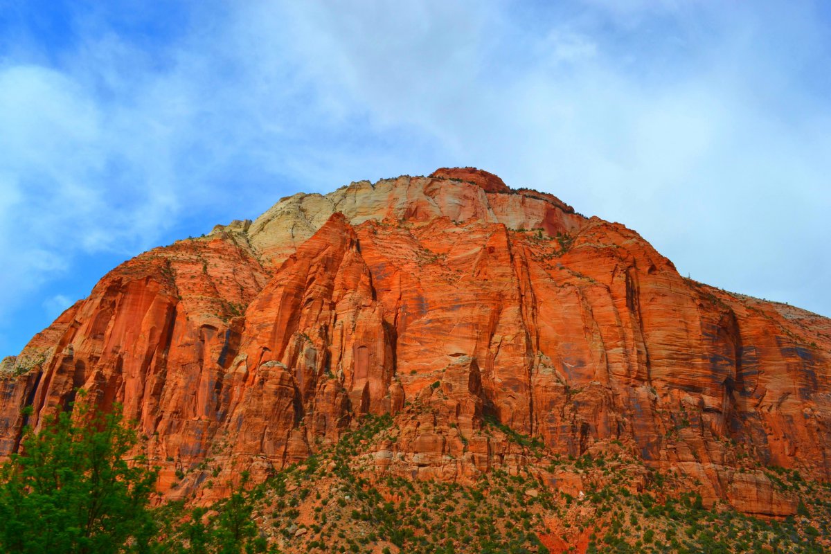 Pictures of Zion National Park