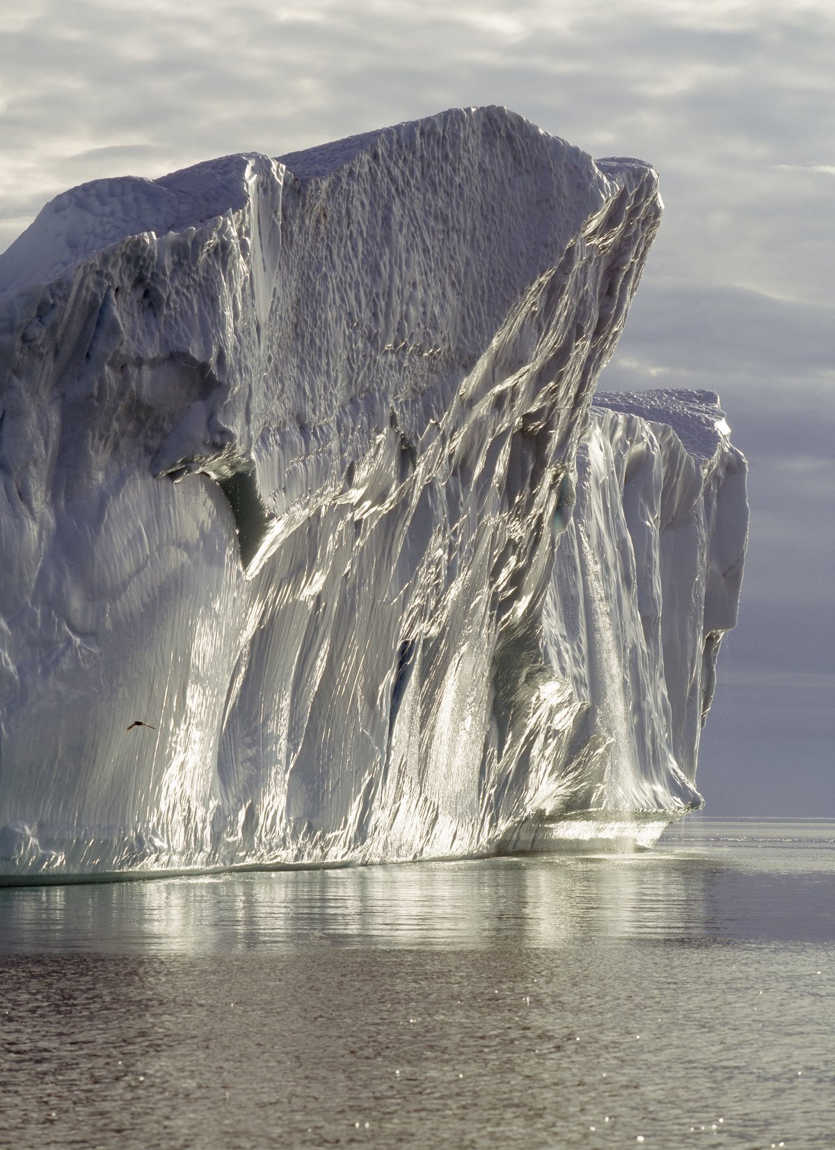 huge iceberg pictures