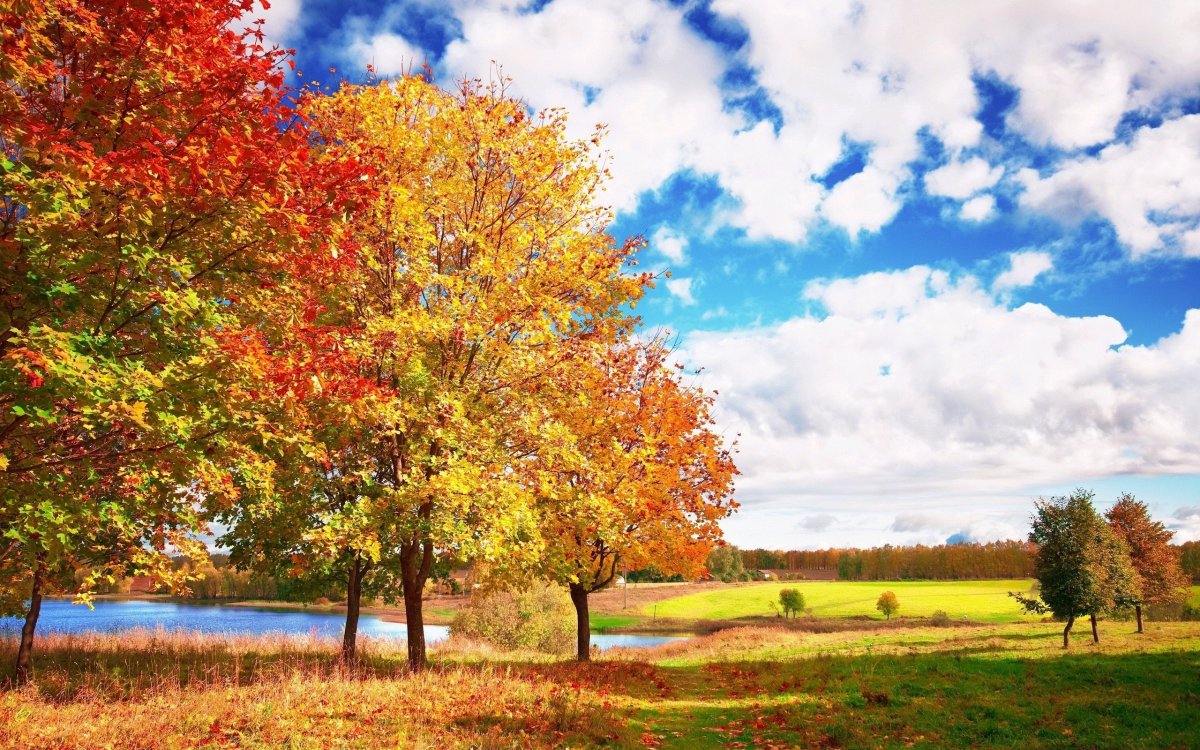 Beautiful autumn scenery pictures