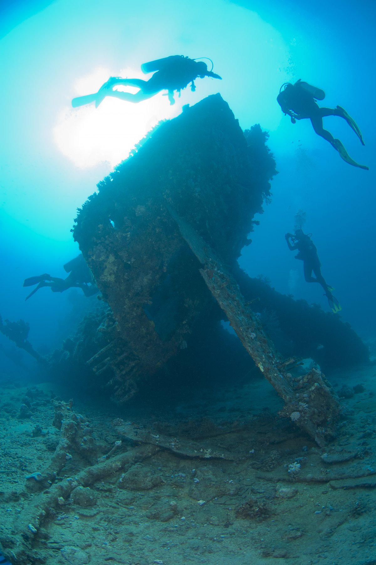 Scenery pictures of shipwrecks on the seabed