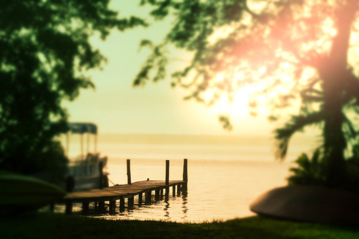 Morning lake scene picture