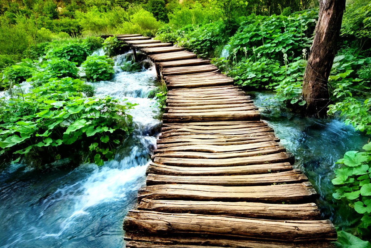 HD wooden bridge scenery picture