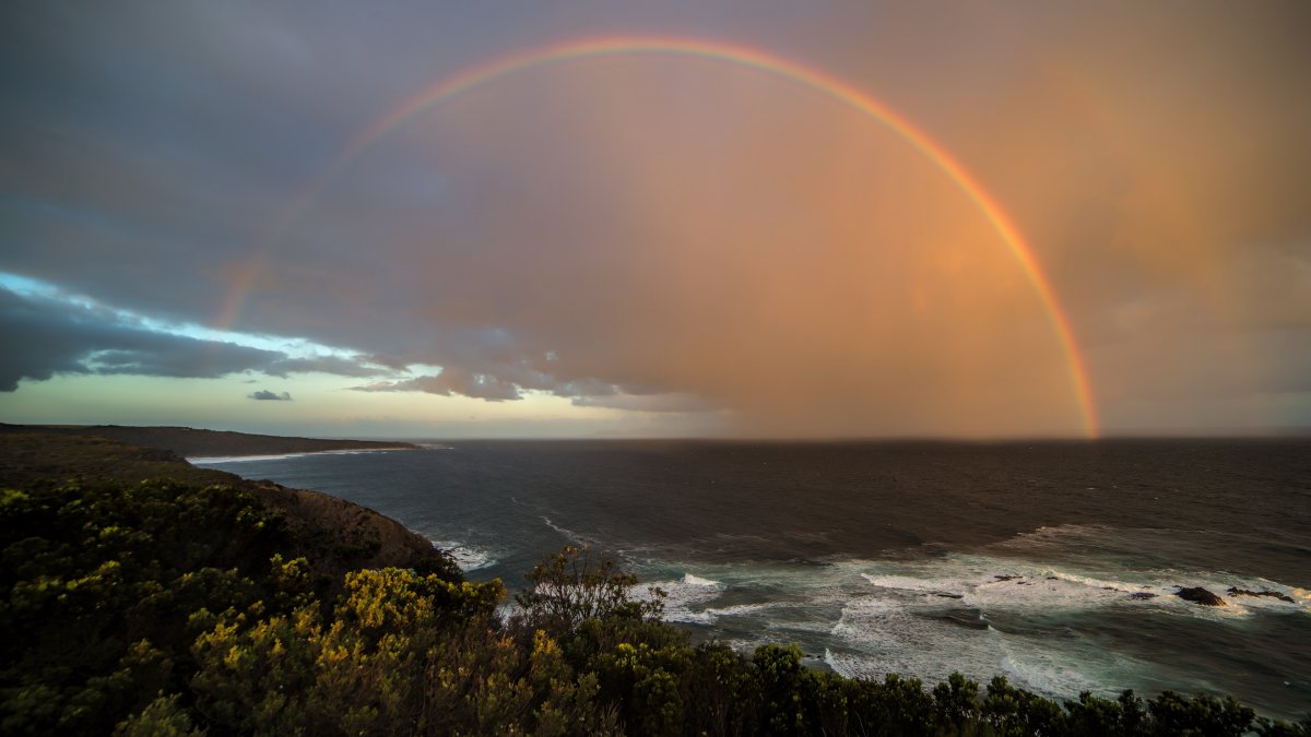 Coast Rainbow Pictures