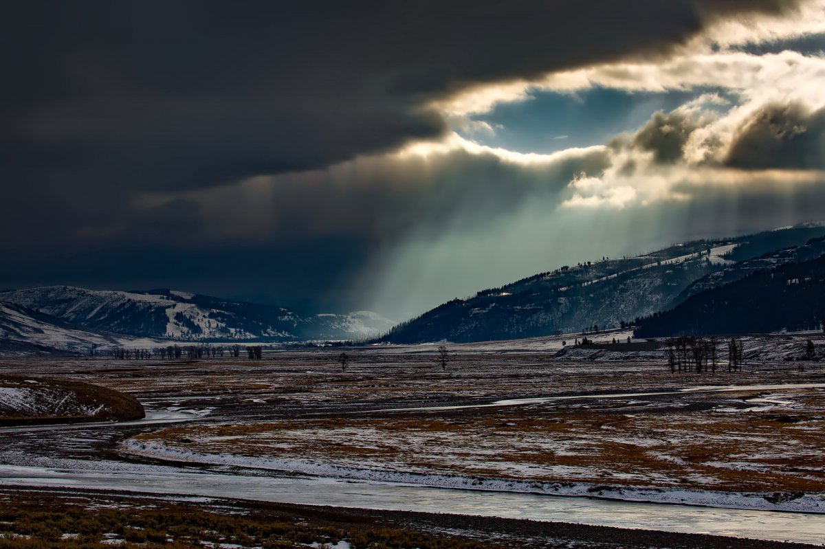 Yellowstone Park pictures in winter