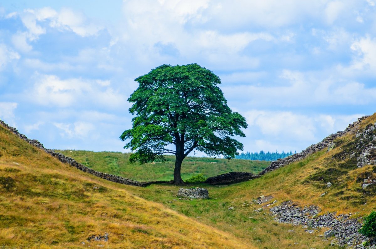Hadrian's Wall landscape pictures