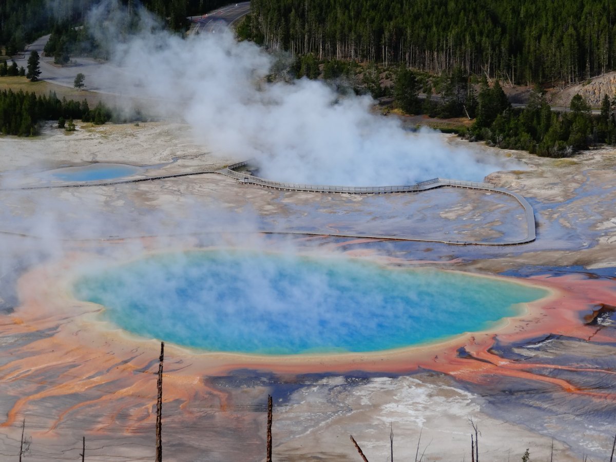 Grand Prismatic Spring Pictures