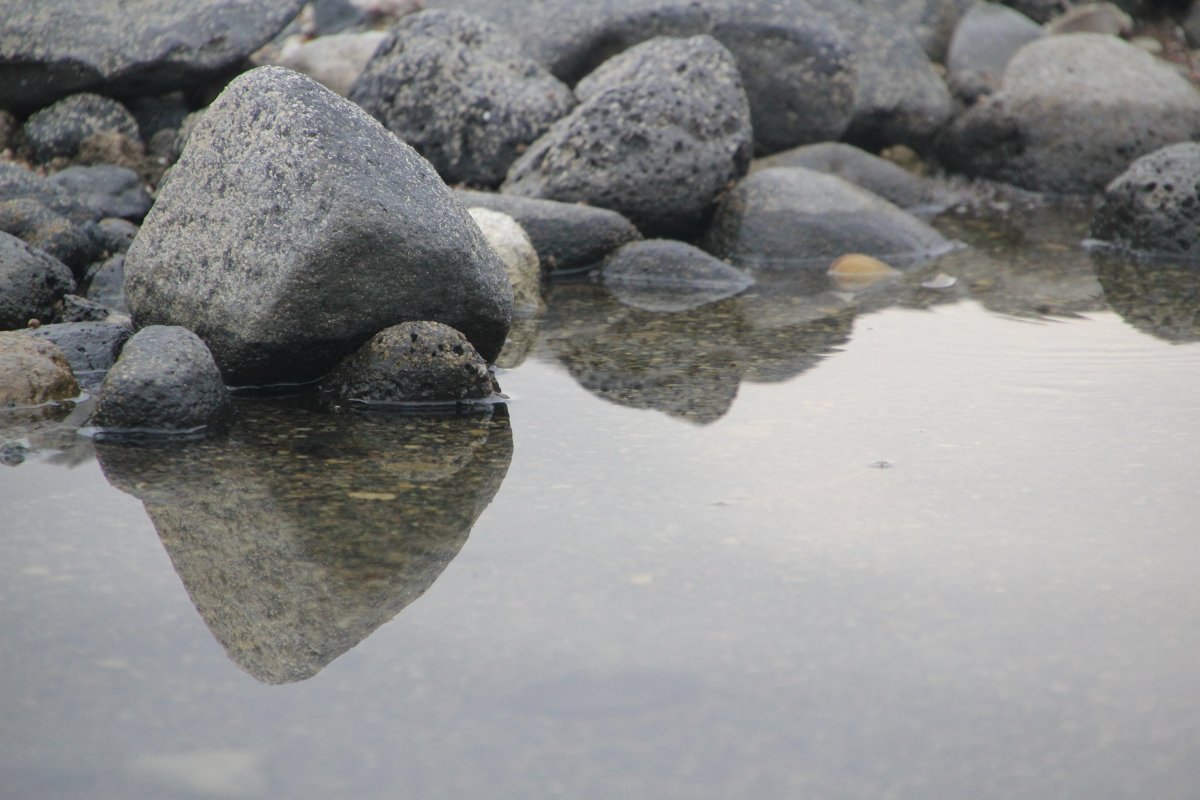 Close-up picture of stones by the river