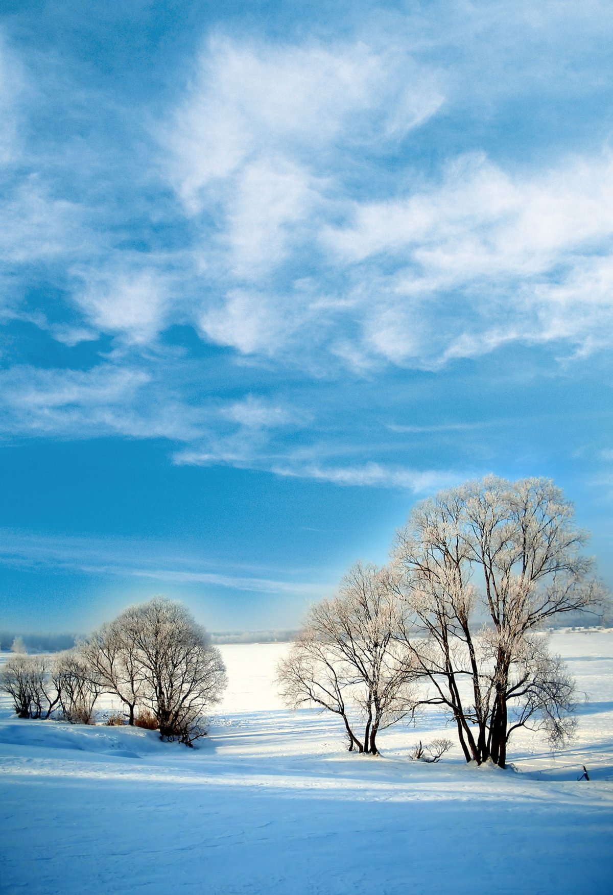 Winter landscape picture material