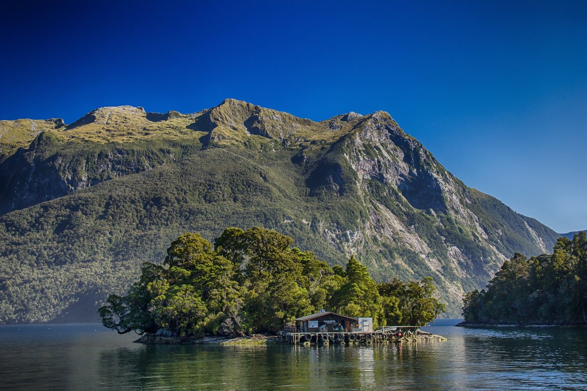 New Zealand landscape pictures of shacks