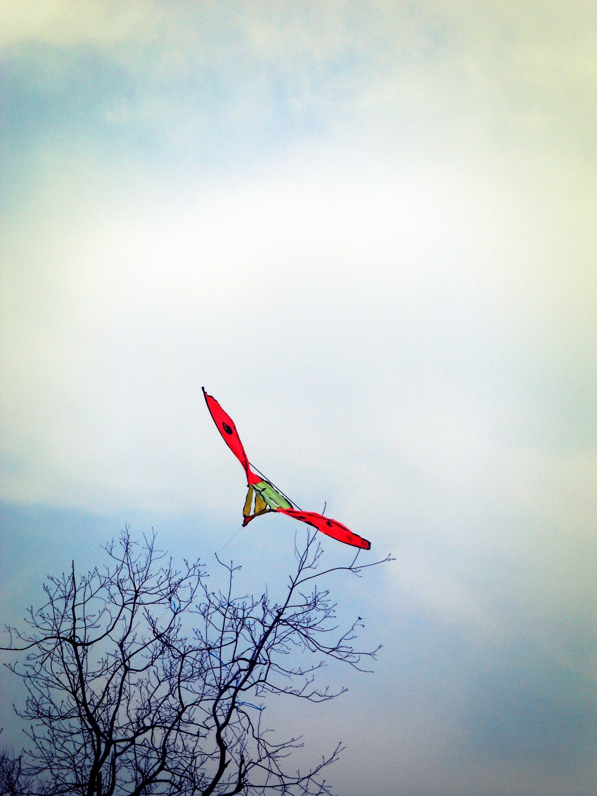 Beautiful pictures of flying kites in autumn