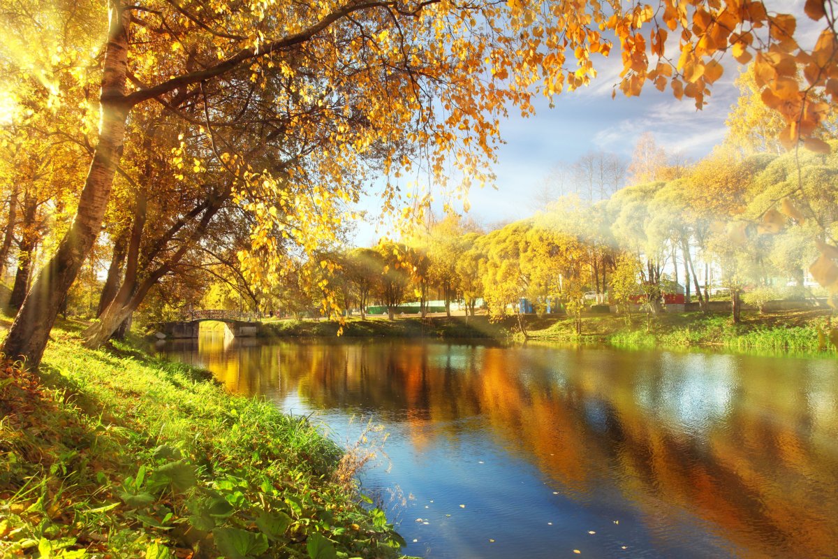 Beautiful pictures of autumn scenery