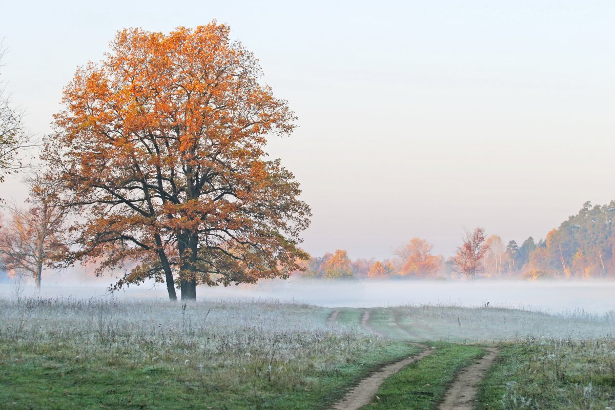 Early morning autumn scenery pictures