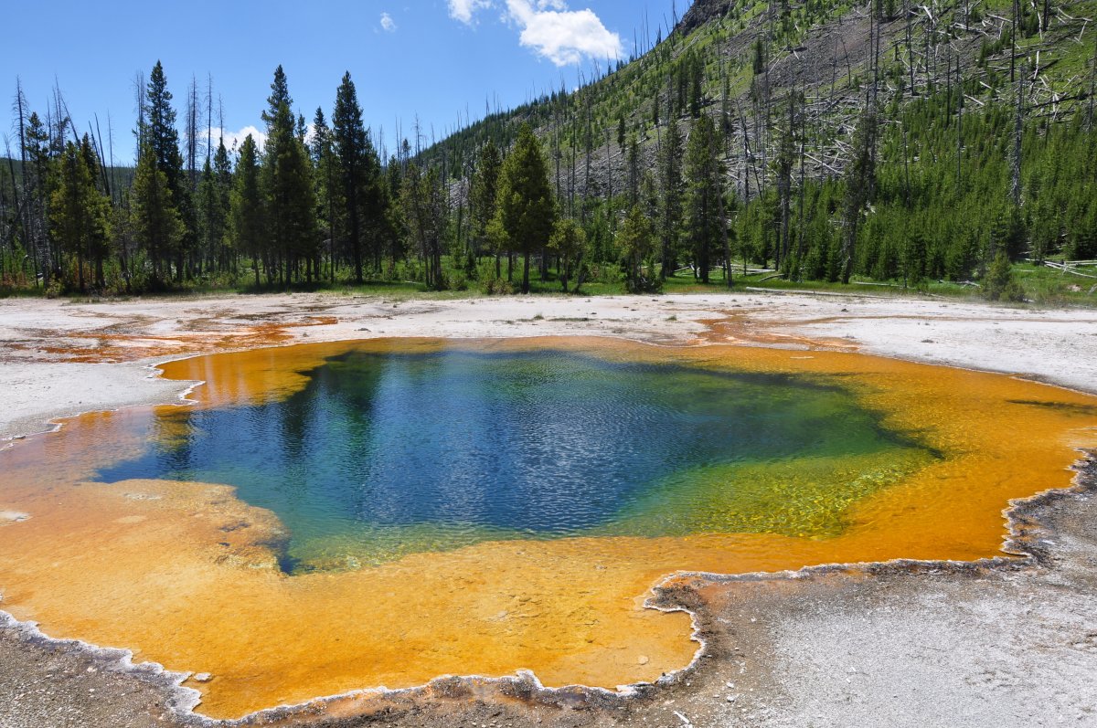 Yellowstone Park scenery pictures