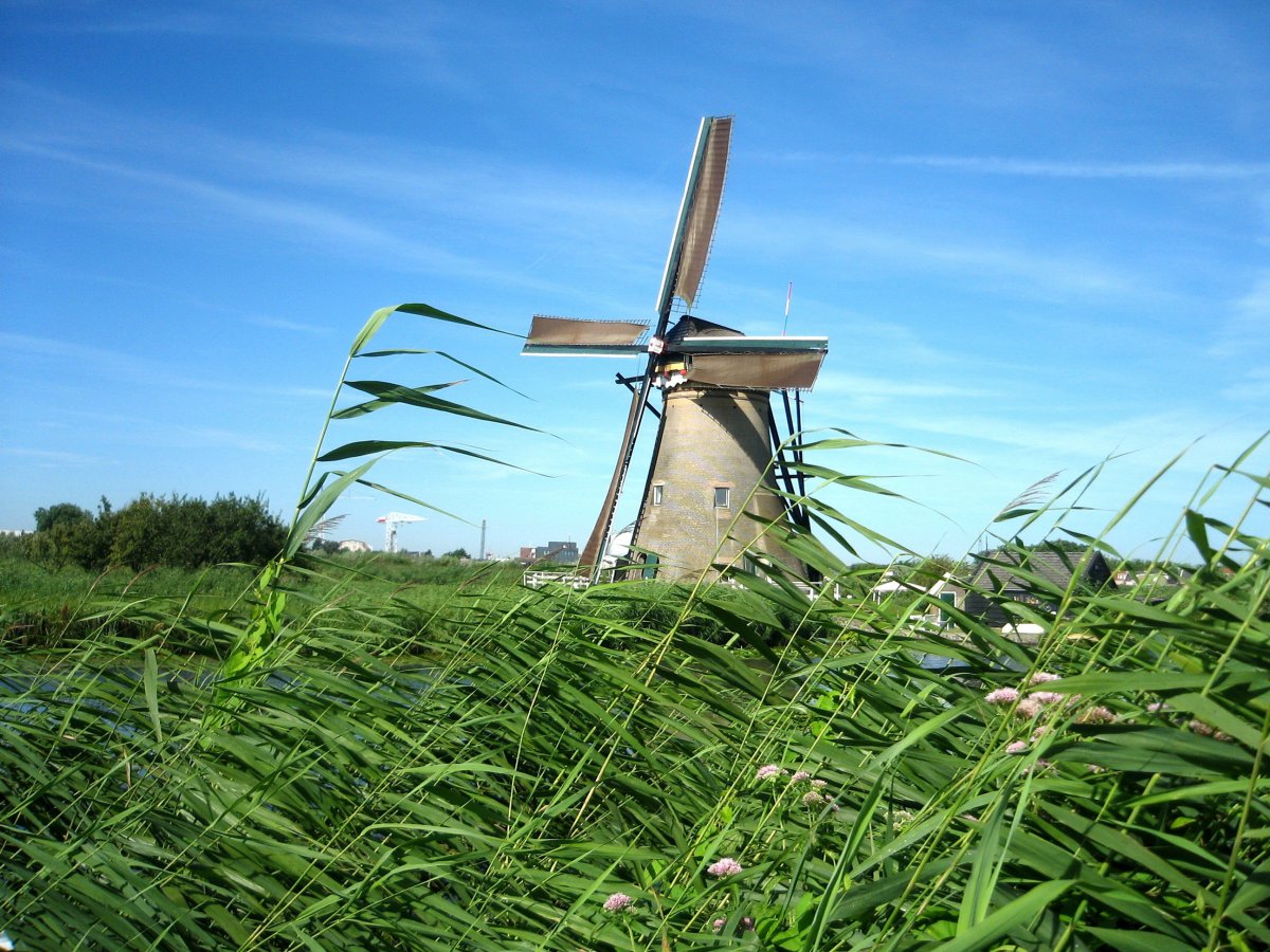 Dutch windmill scenery pictures