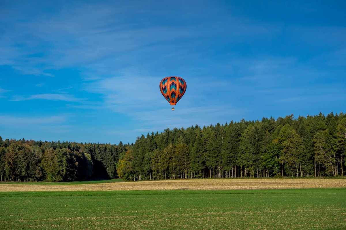 Hot air balloon pictures over grass and woods