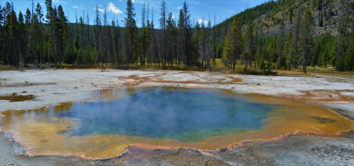 Pictures of Yellowstone Park in the United States