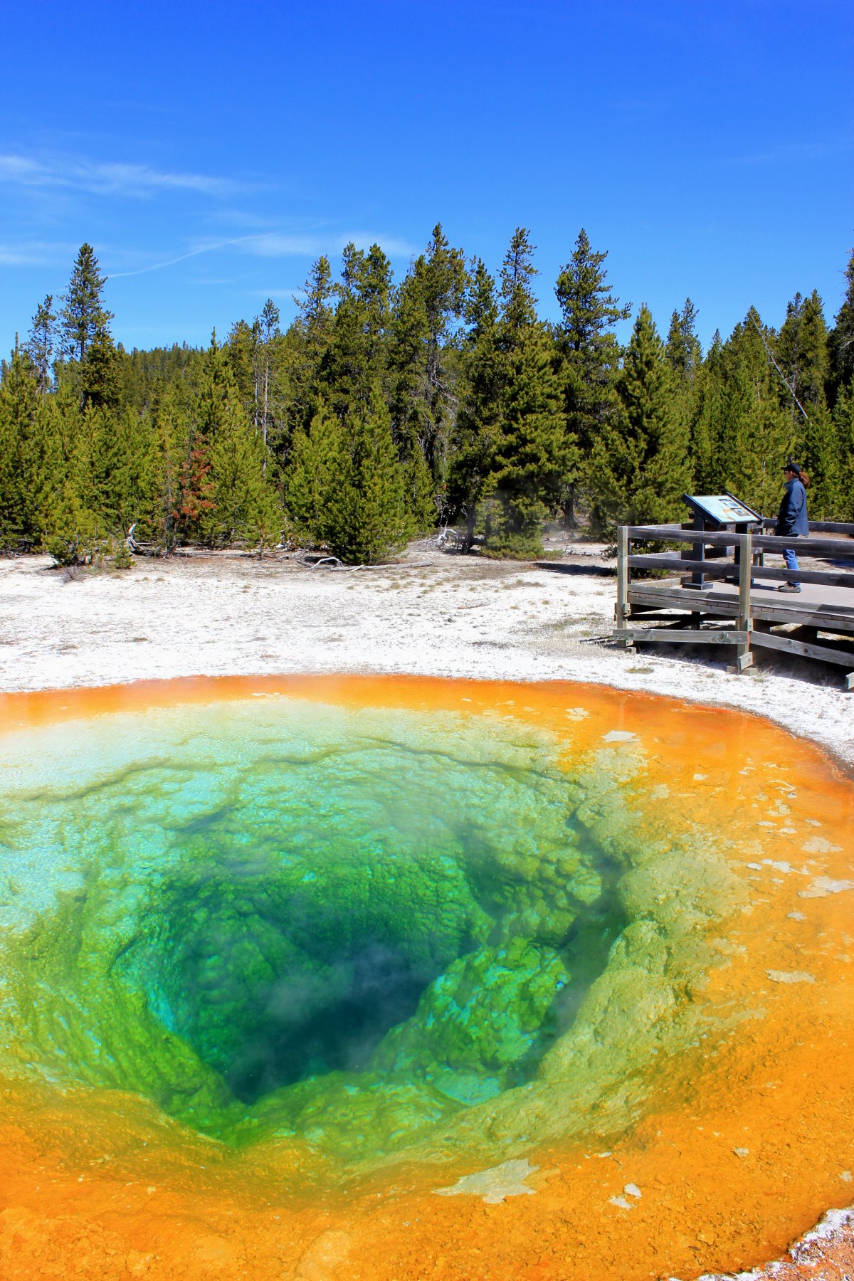 Pictures of Yellowstone Morning Glory Pond