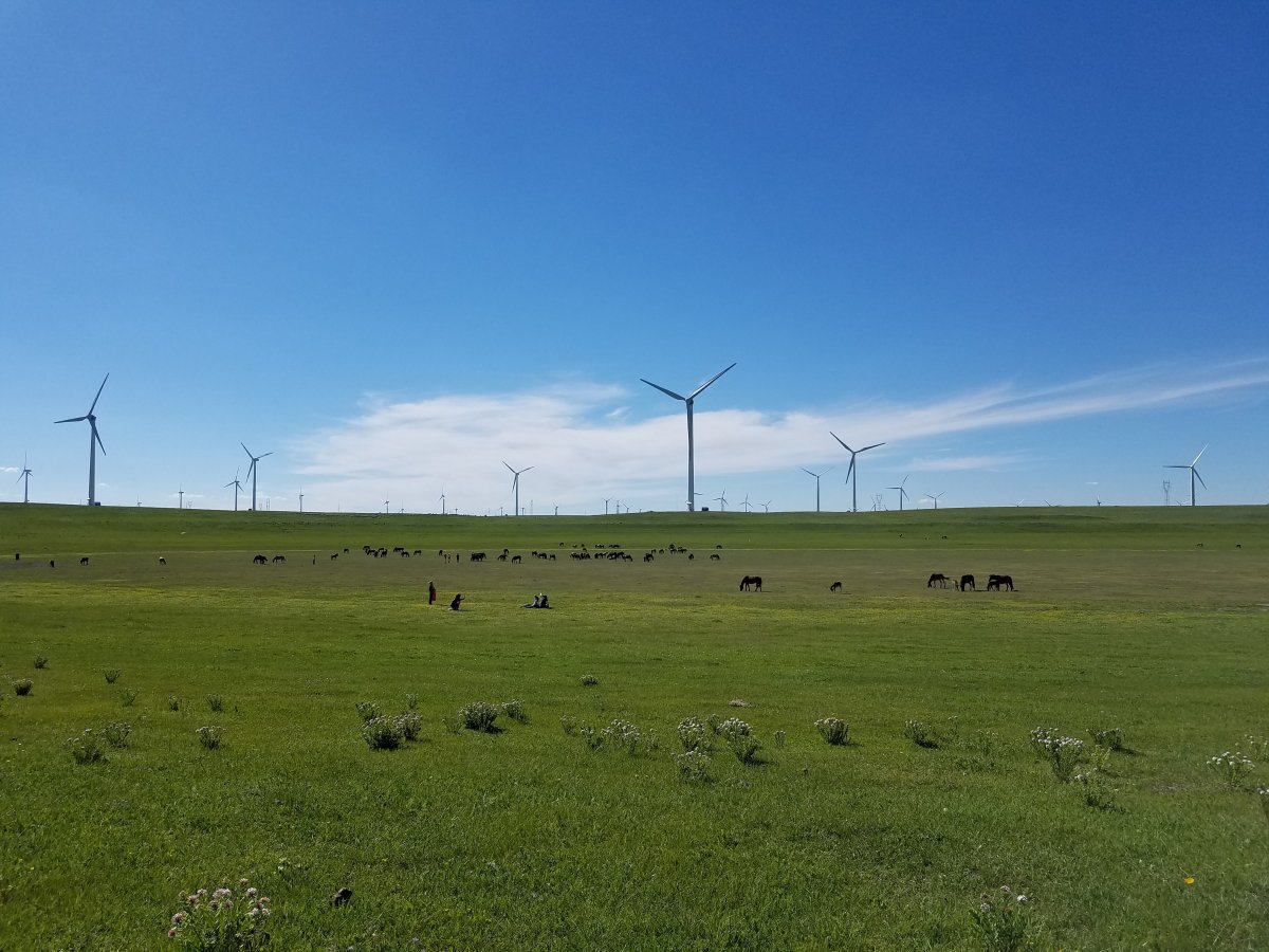 Grassland power windmill scenery picture