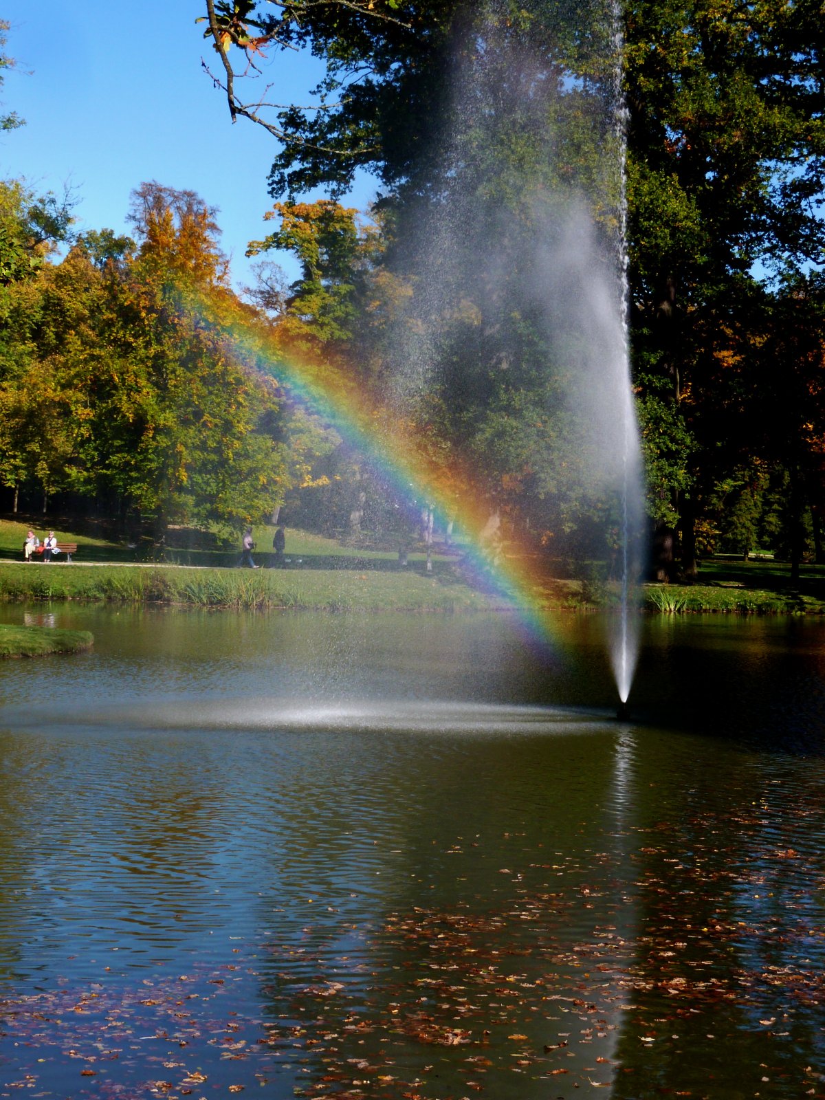 Park lake rainbow picture