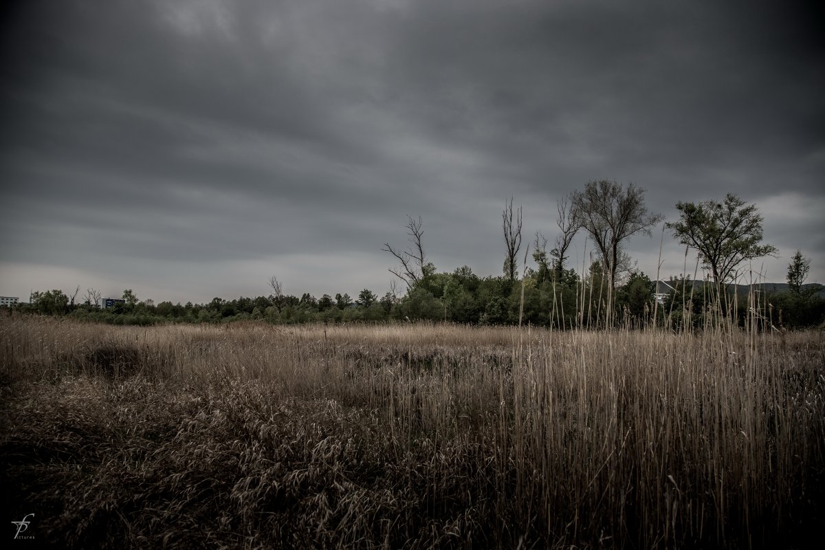 Pictures of fields covered with dark clouds