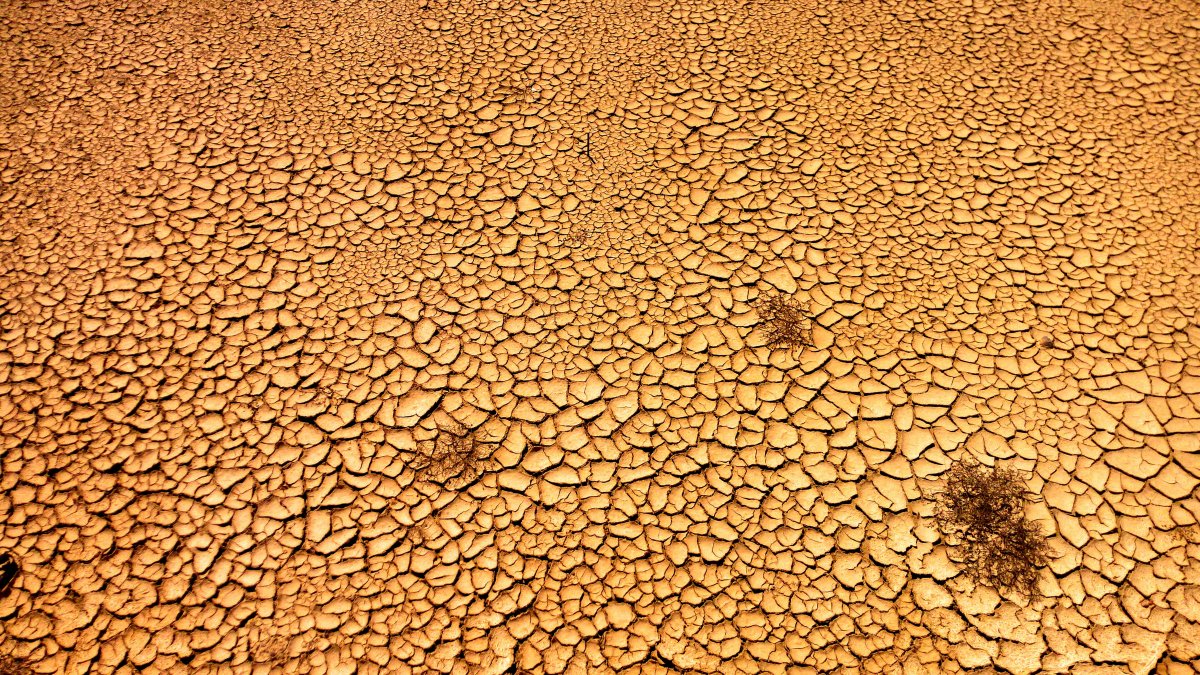Pictures of dry and cracked land