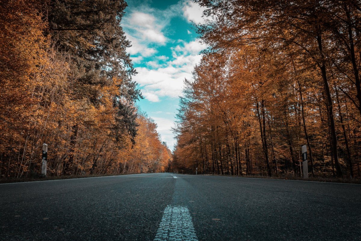 Beautiful autumn road scenery pictures