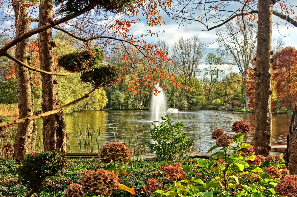 Garden fountain scenery picture