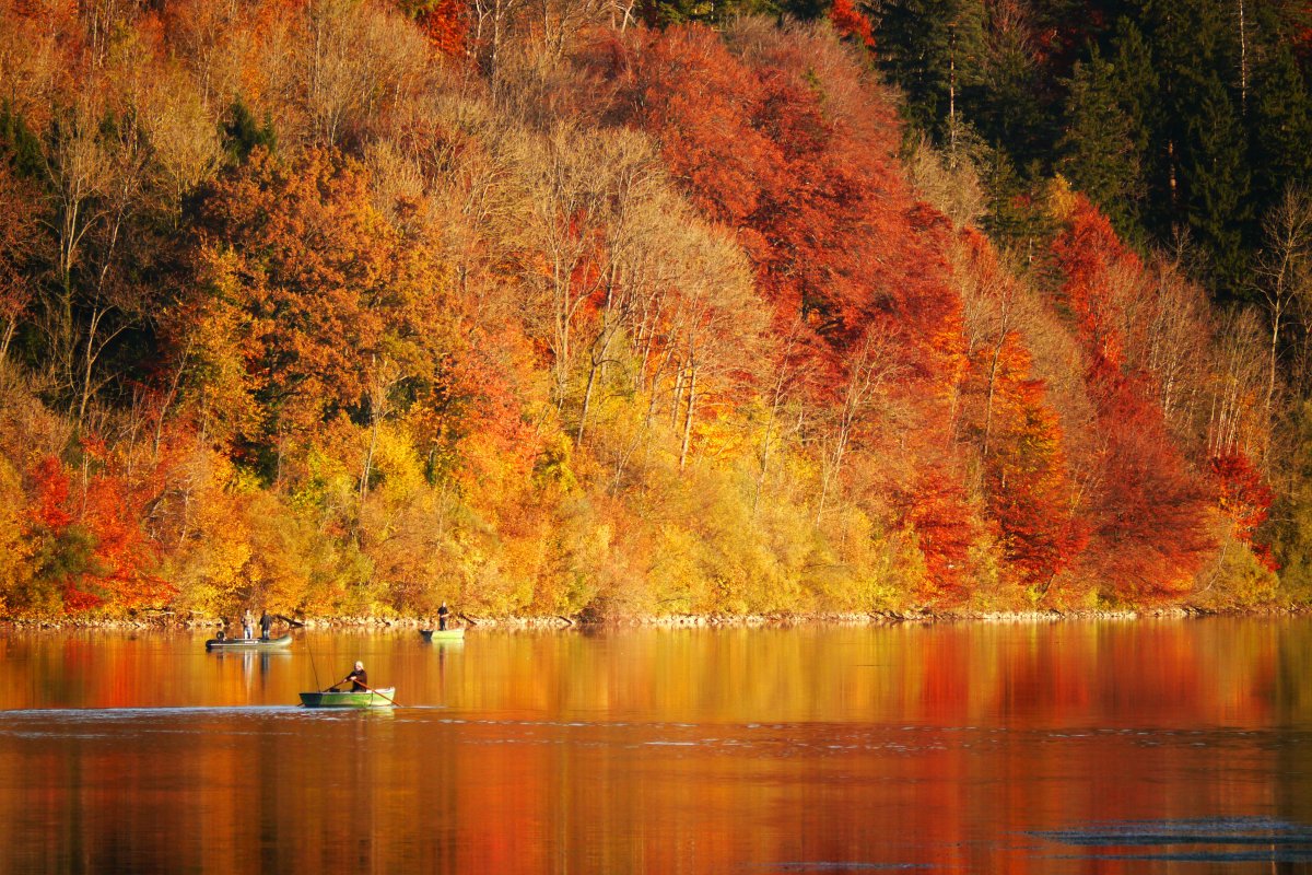 Beautiful autumn scenery pictures