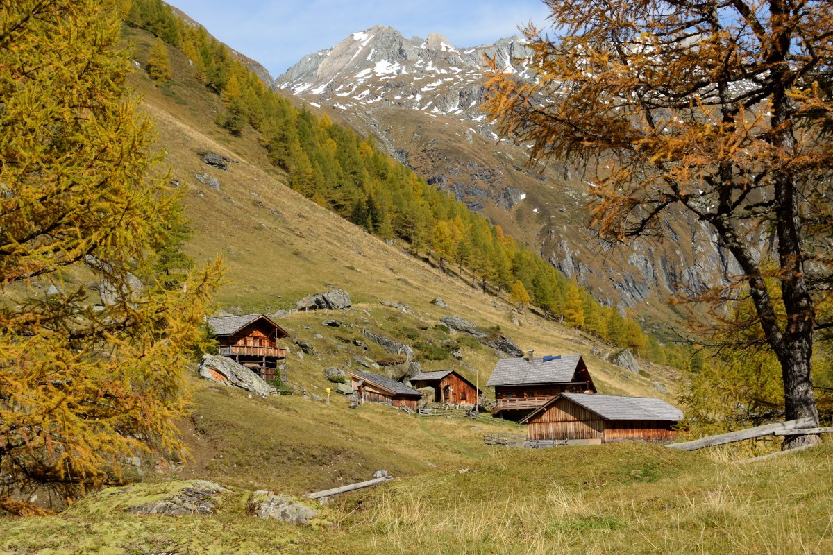 Alm Alpine Chalet Scenery Pictures