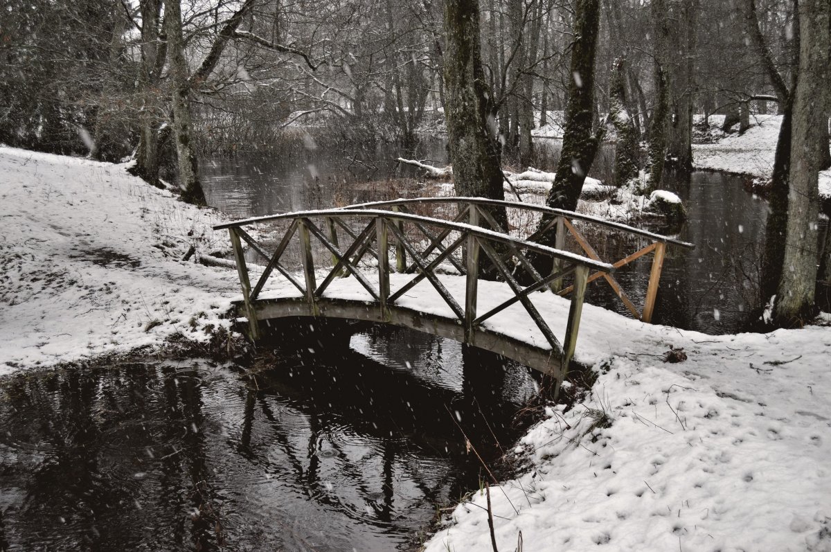 Picture of wooden bridge in the woods in the snow