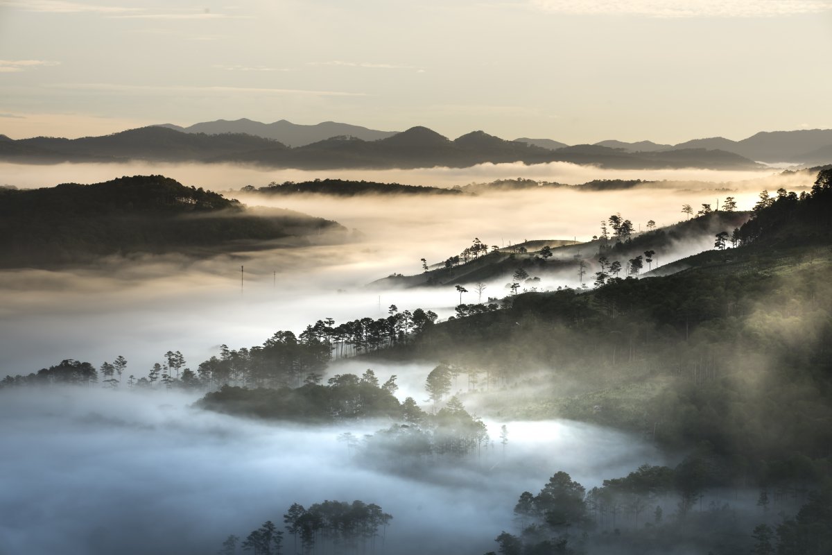 Early morning dreamy cloud and mist landscape pictures