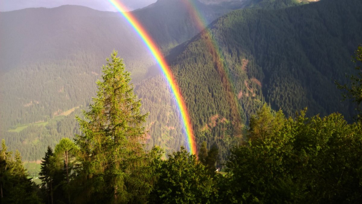Rainbow picture after rain in forest