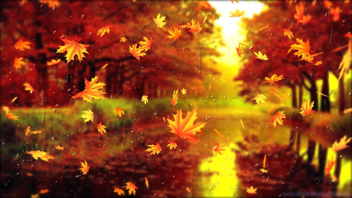 Beautiful scenery pictures of autumn leaves